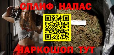 гашик Бузулук