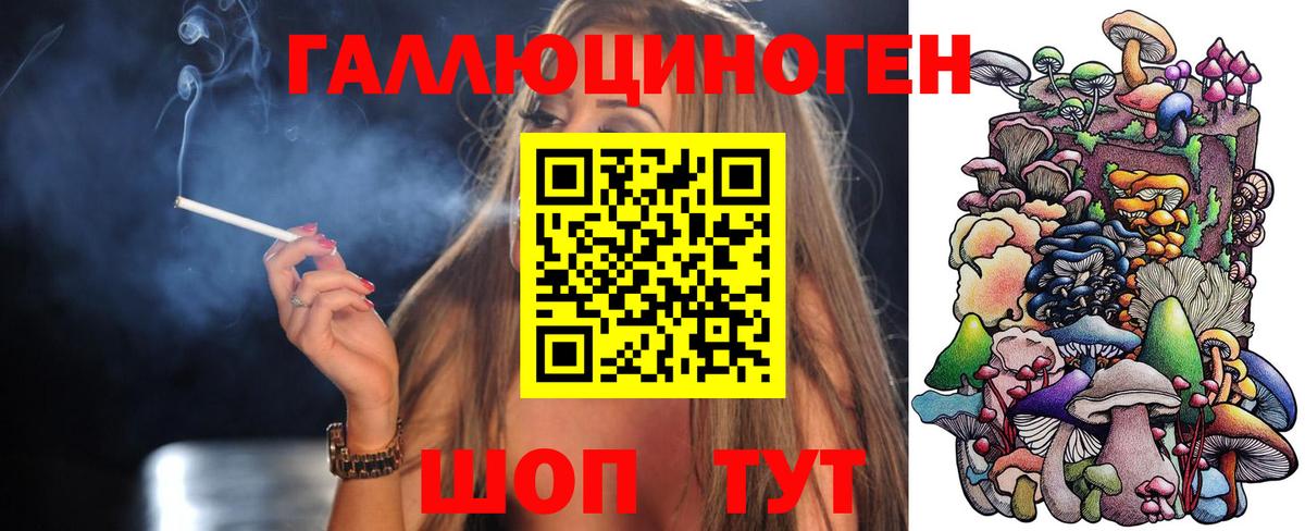 Псилоцибиновые грибы Psilocybine cubensis Орск