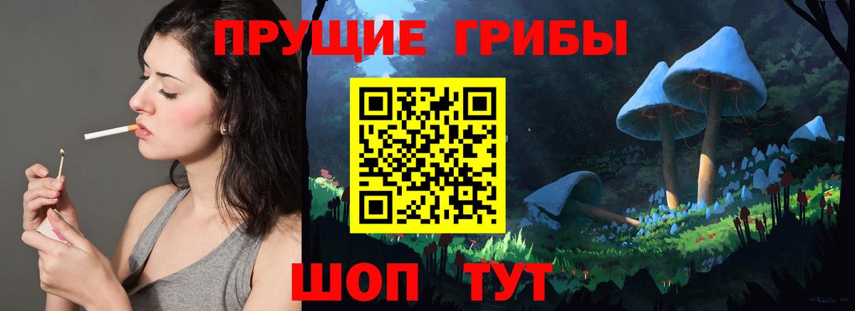 Орск  Галлюциногенные грибы GOLDEN TEACHER  Вход с VPN 
